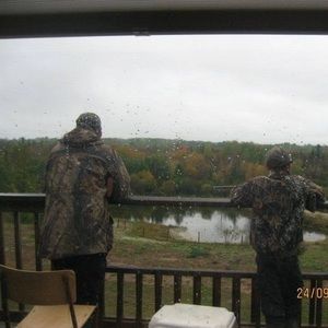 Meet your Posher, Faye